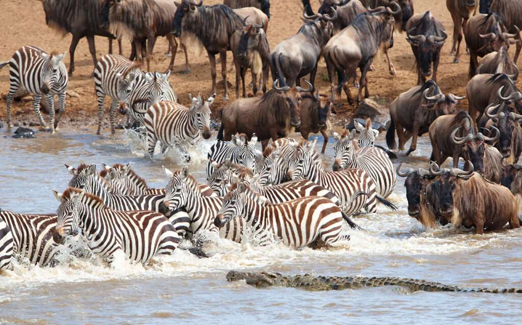 Best Places To visit in Your Tanzania Safari